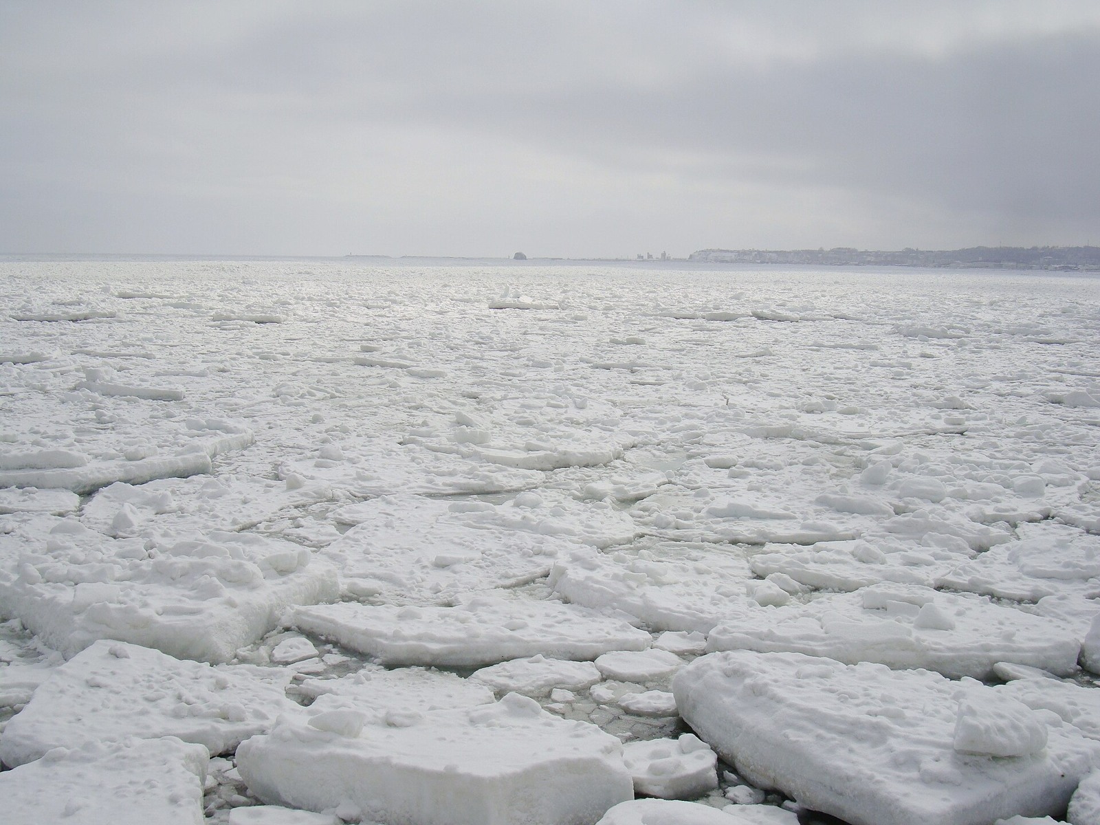 Drift ice off Abashiri in March.