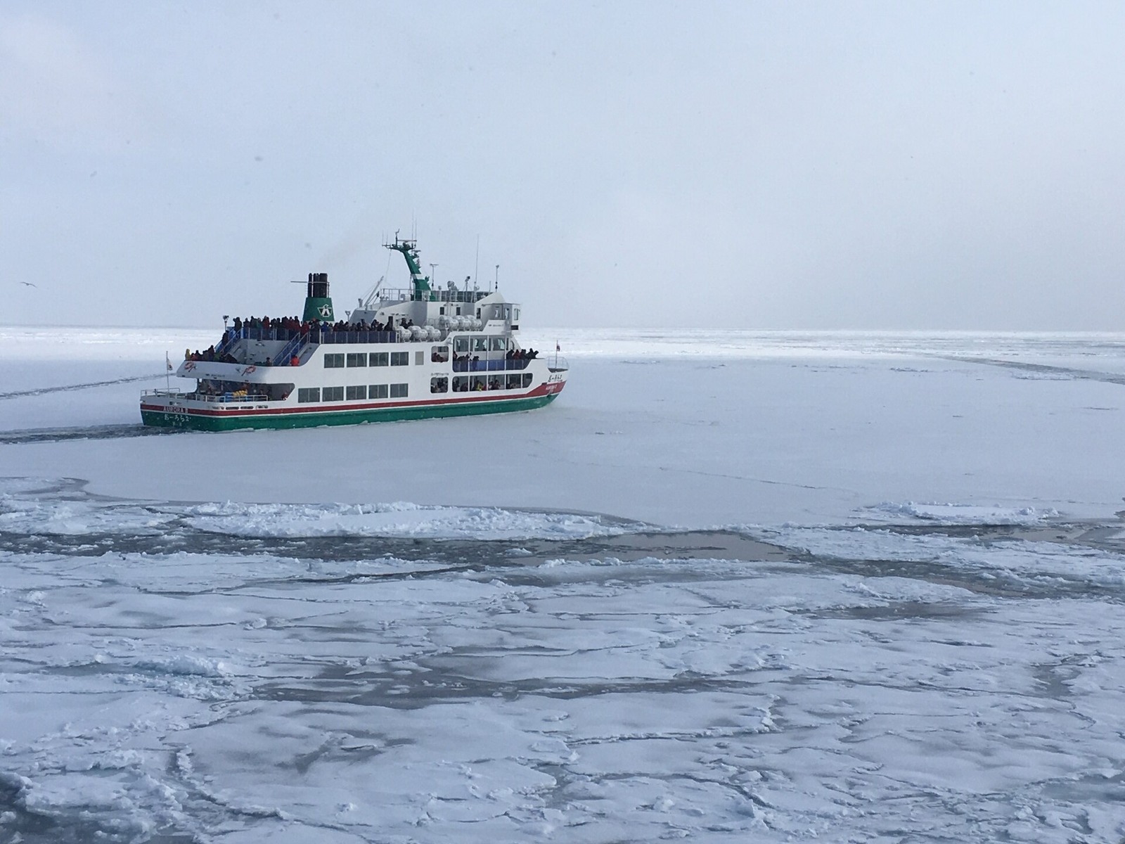 An Aurora icebreaker among drift ice in February.