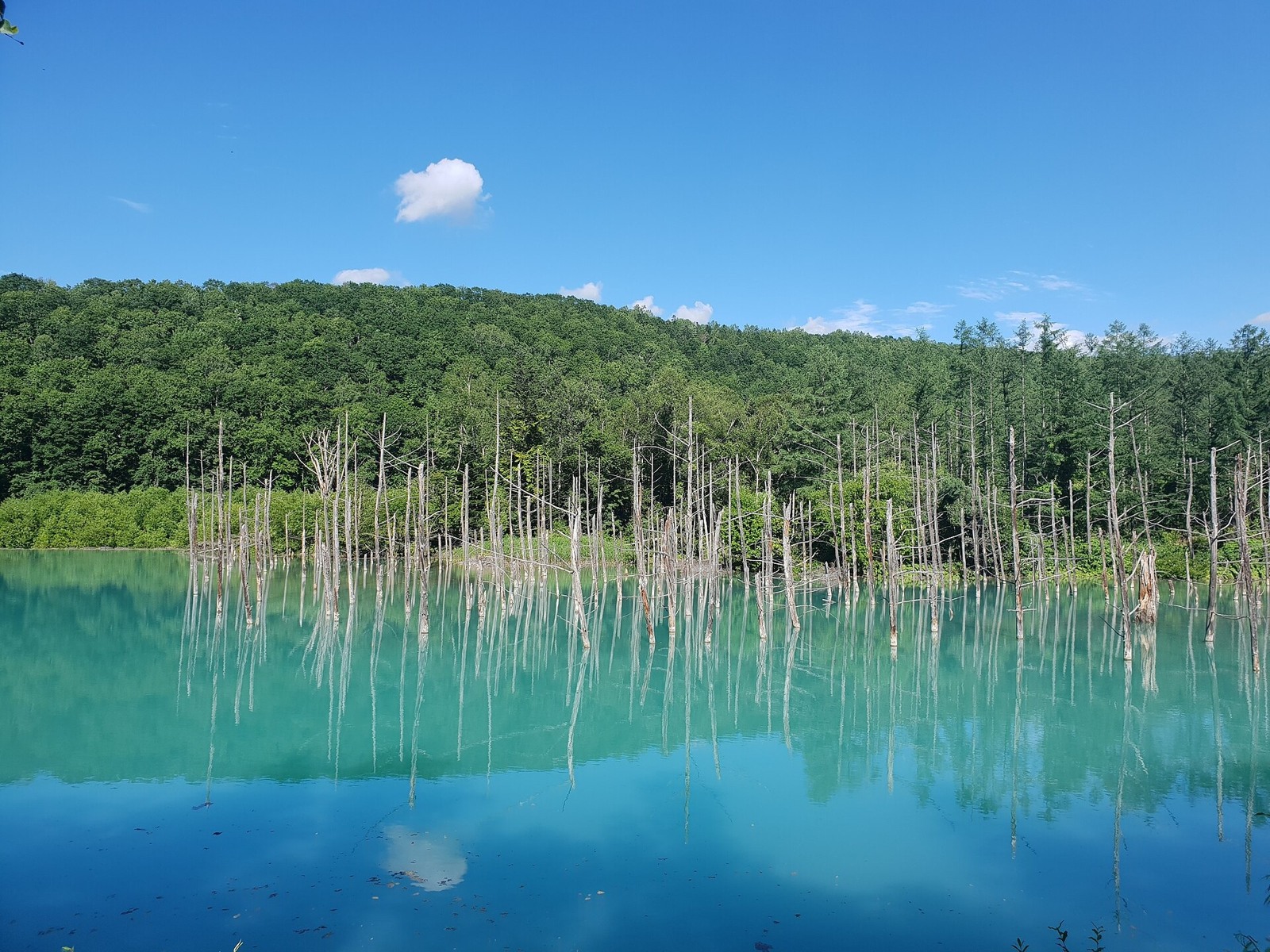 Another summer view across the blue water.