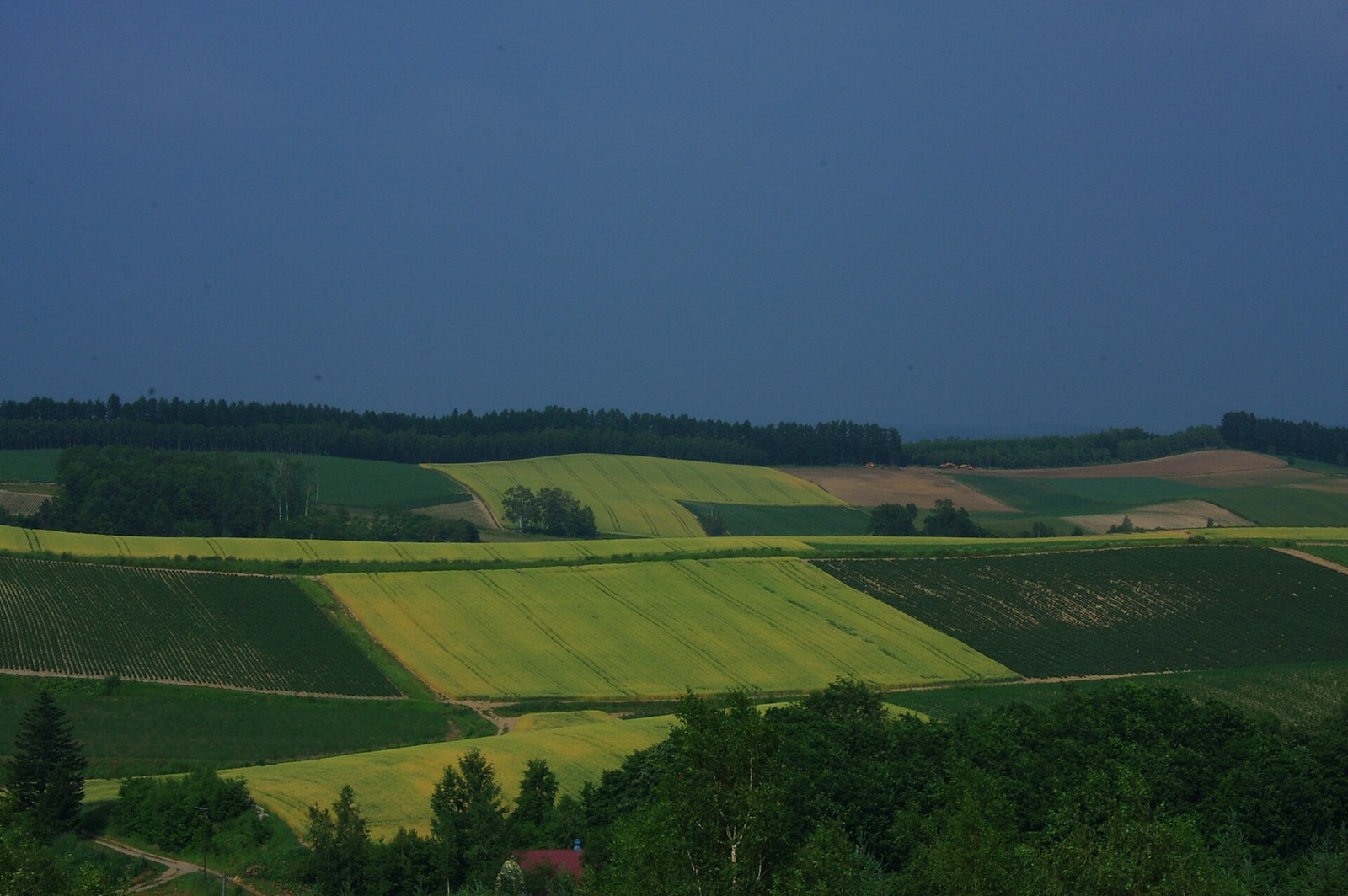 Crops forming different coloured bands across Biei’s hills.
