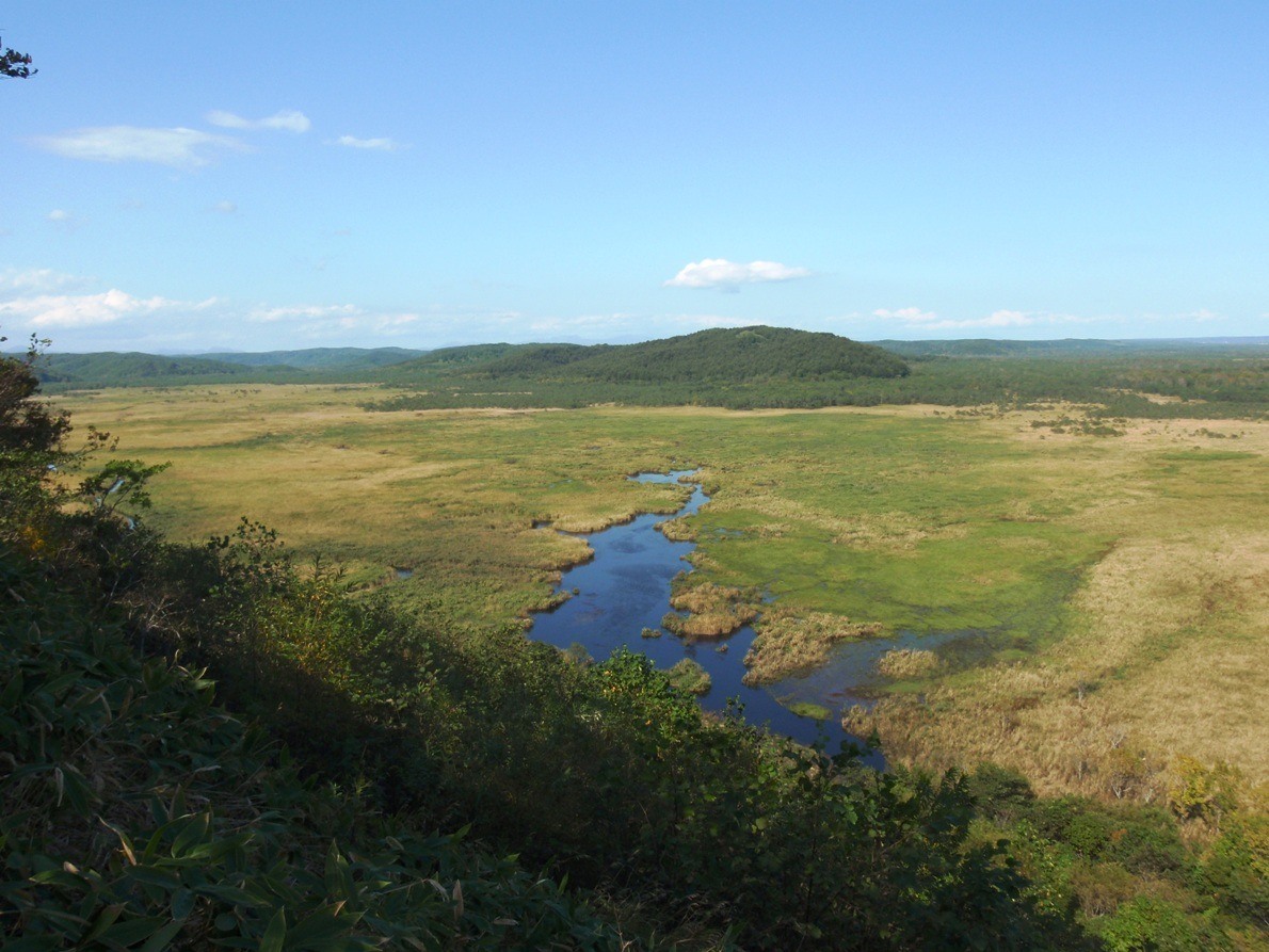 Kottaro Wetland viewed from above in September.