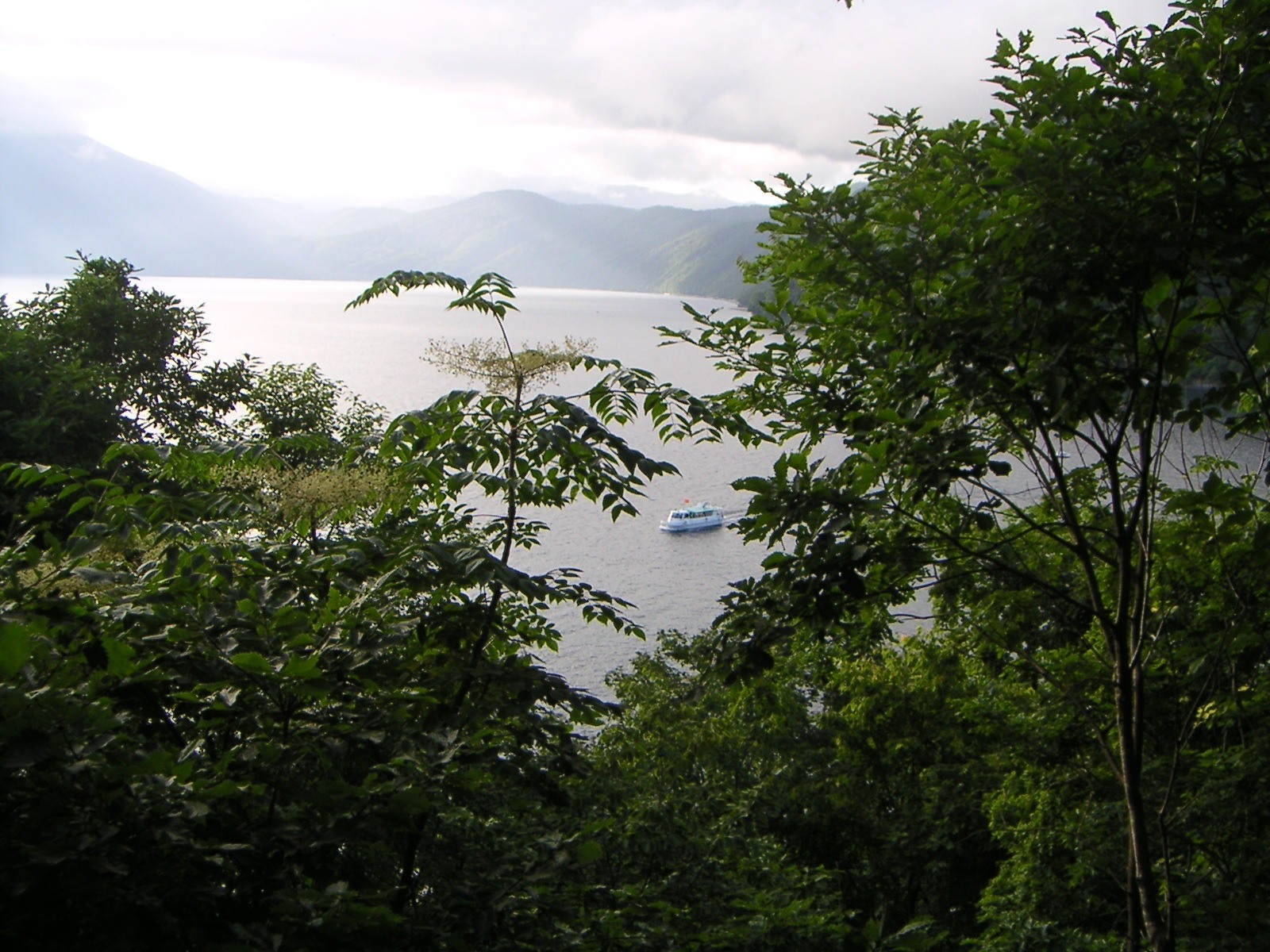 A leafy view towards Lake Shikotsu.