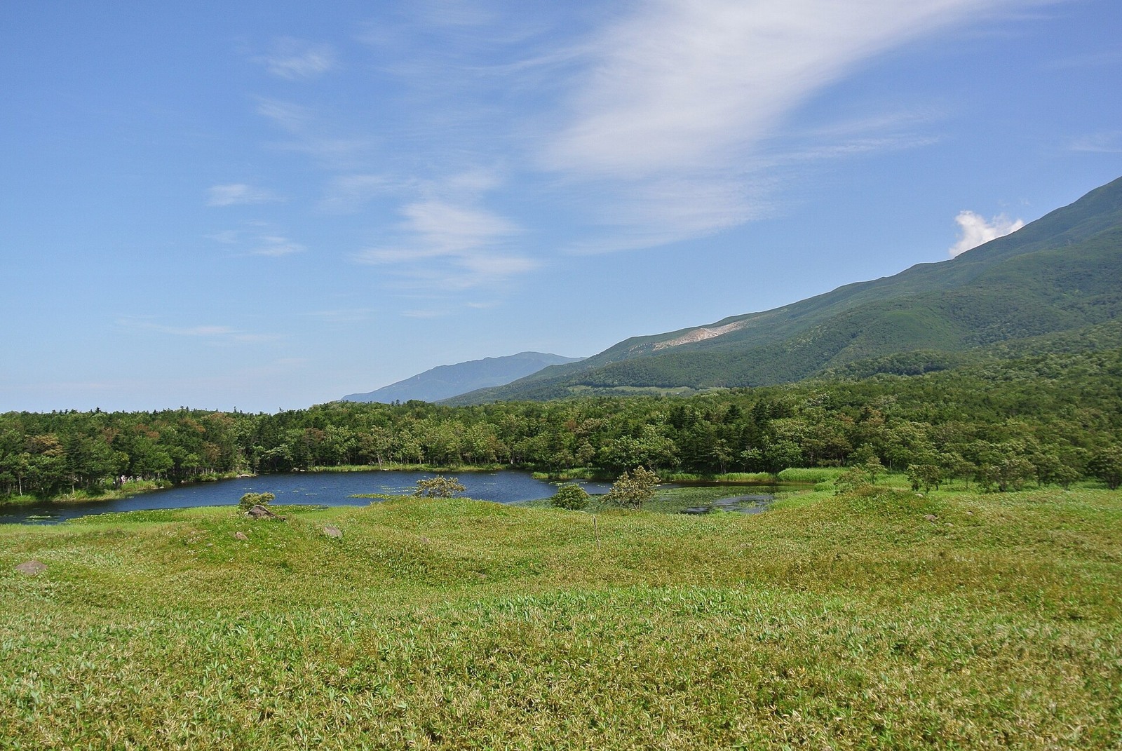 A wider view of the lakes and surrounding summer greenery.