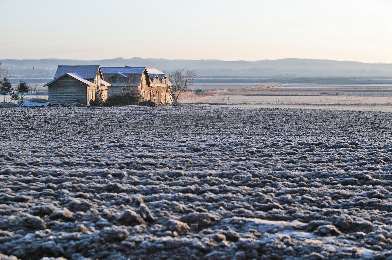 Fields in Makubetsu, Tokachi, during winter.