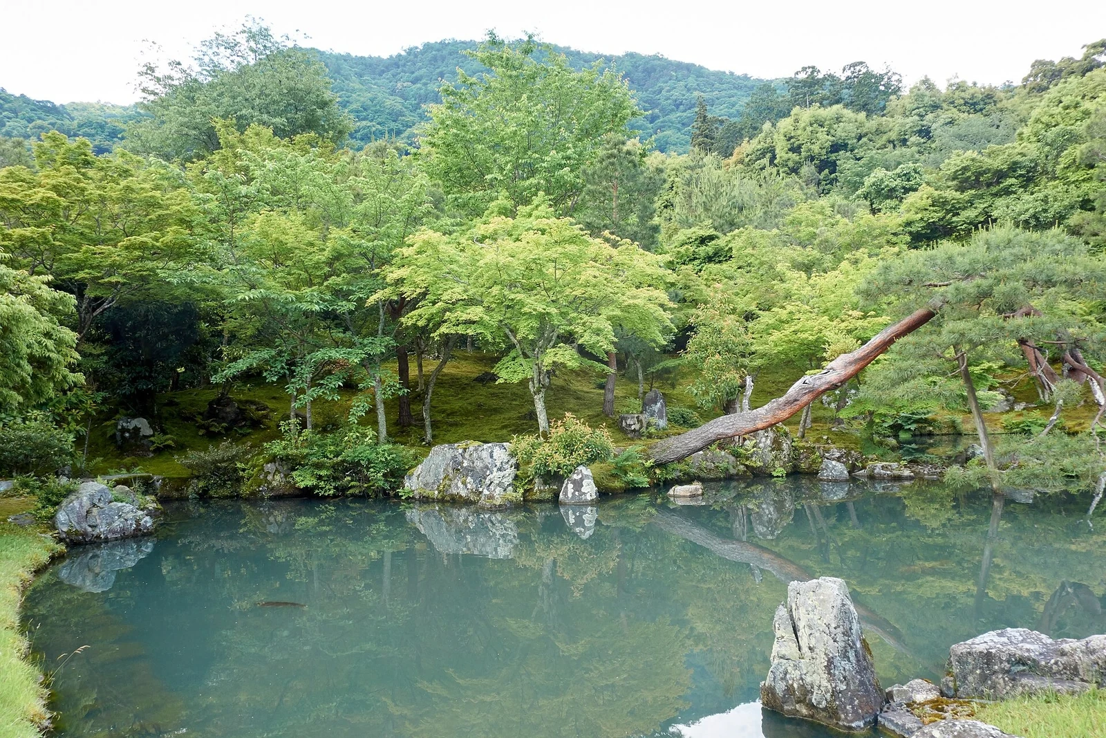 Rocks and reflections in Sogenchi Garden.