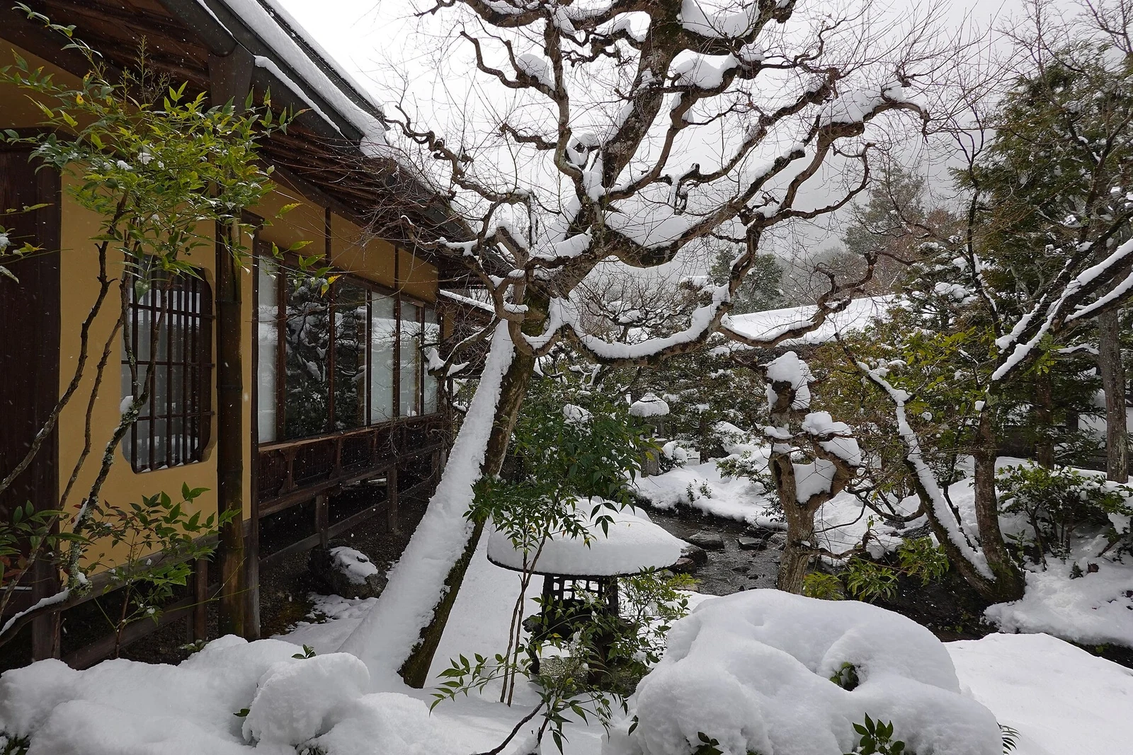 A snow-covered winter scene at Tenryu-ji’s Kan’u-tei.