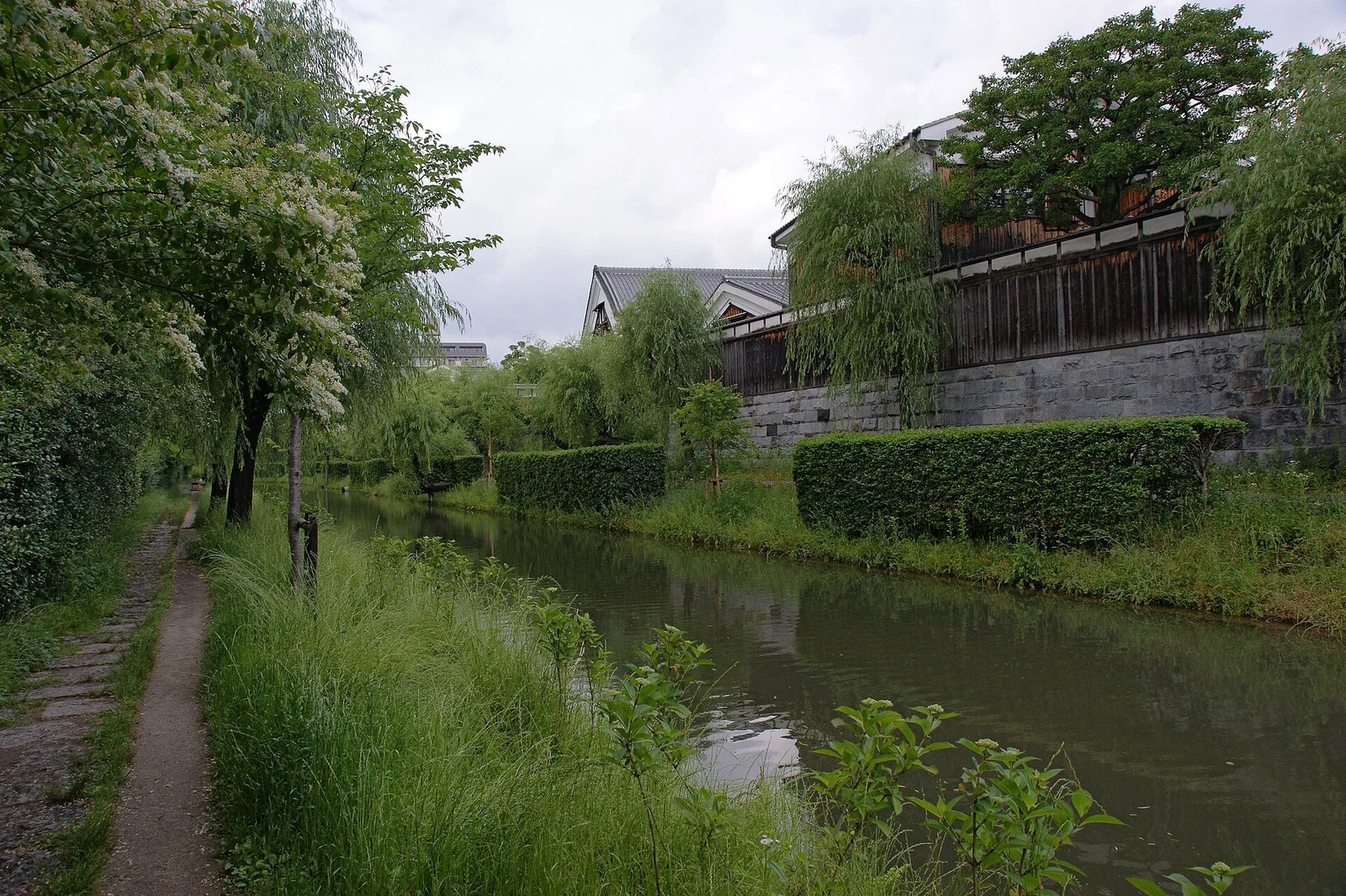 Green banks and a quiet stretch of the canal.