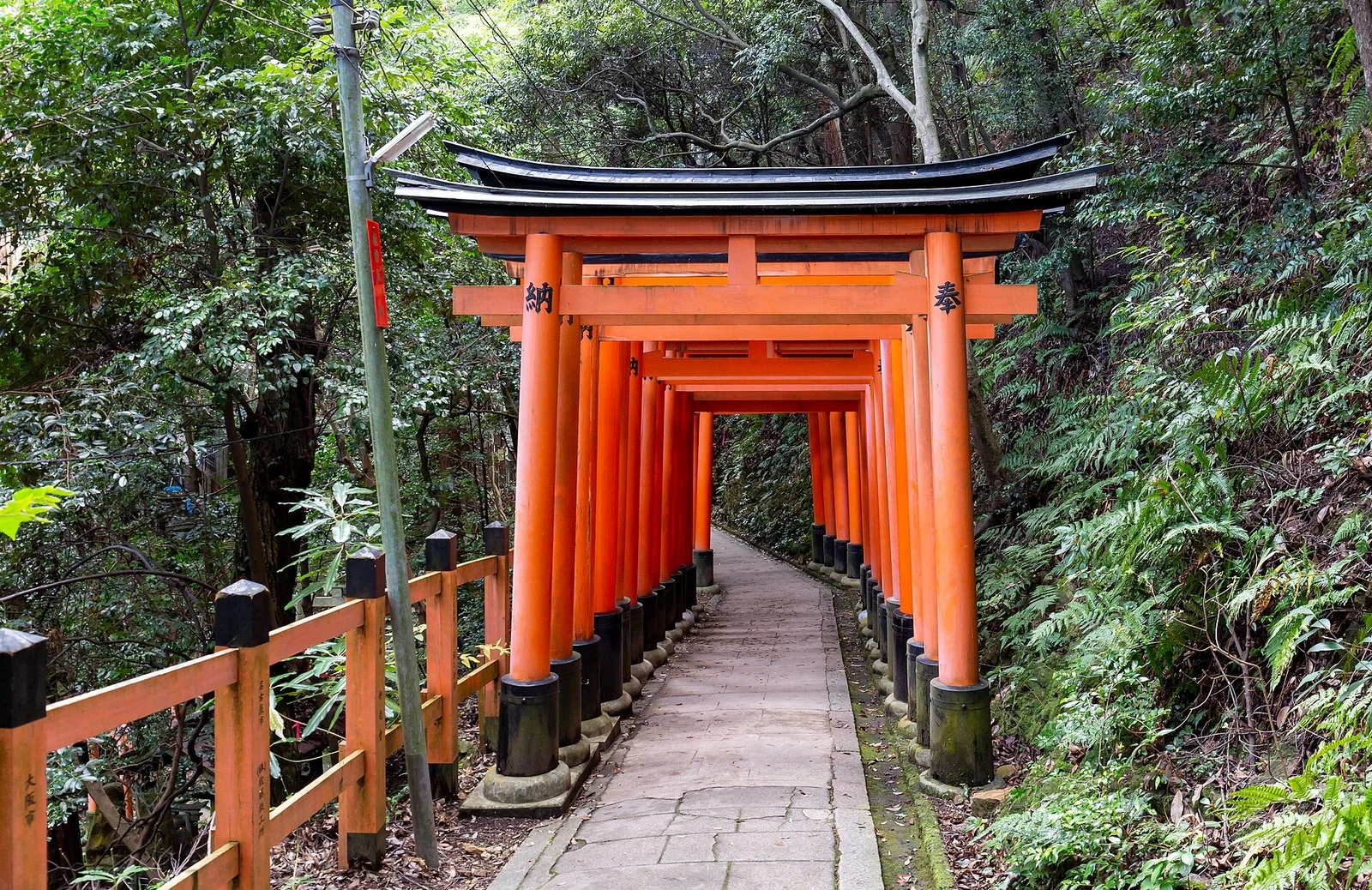 Vermilion torii frame a path at Fushimi Inari Taisha.