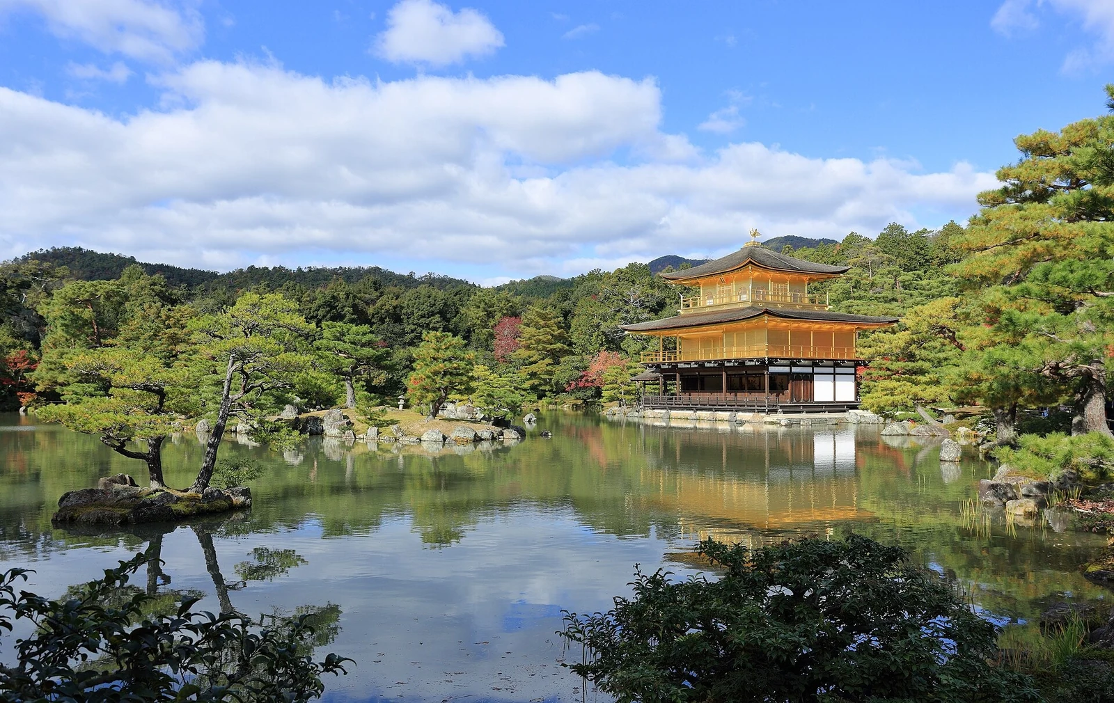 A wider view of the pavilion and surrounding garden.