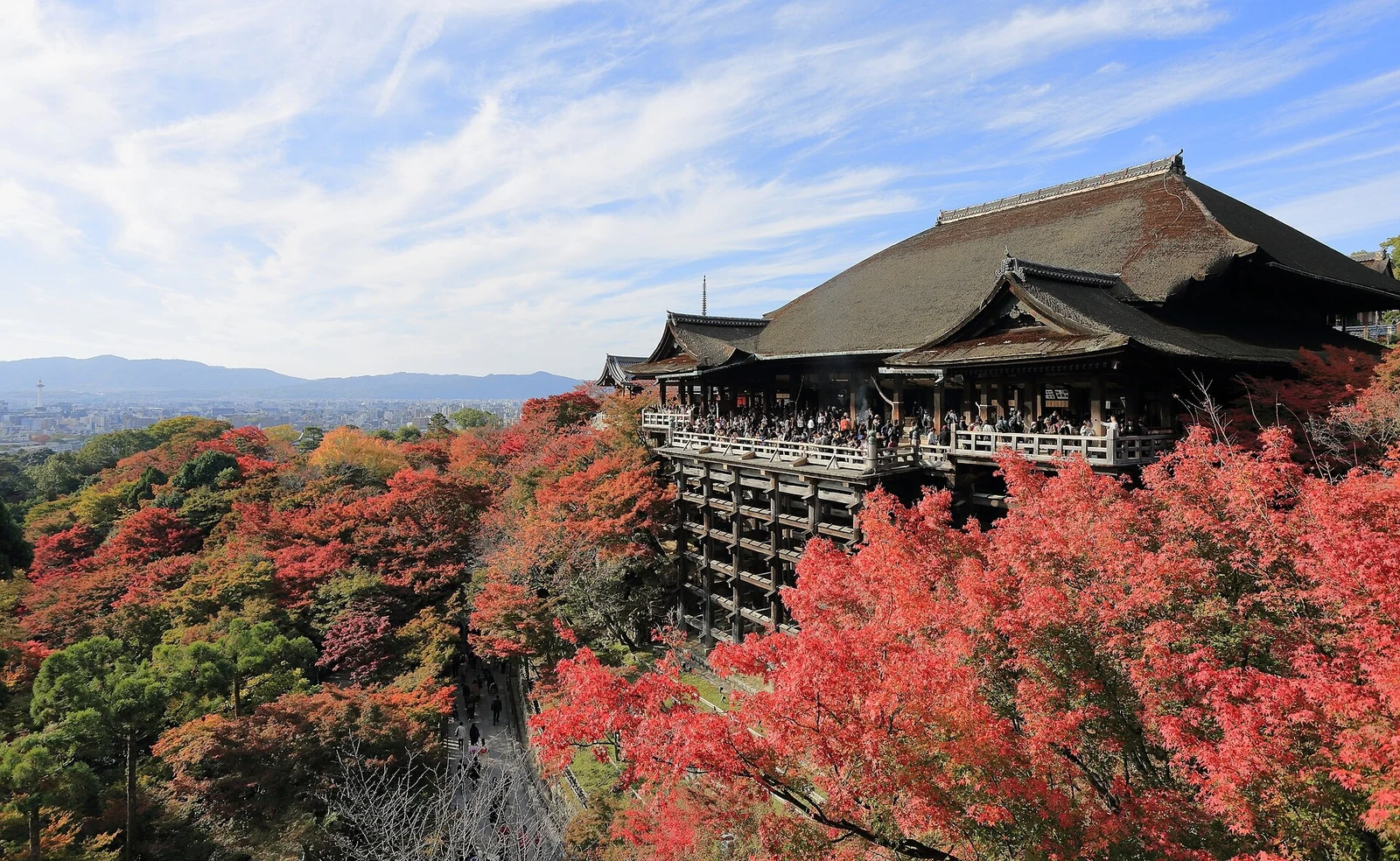 Kiyomizu-dera’s main hall and wooden stage above autumn leaves.