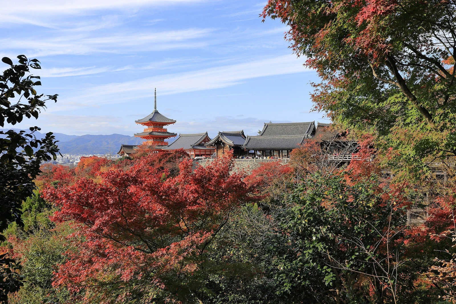 The temple buildings framed by autumn foliage.