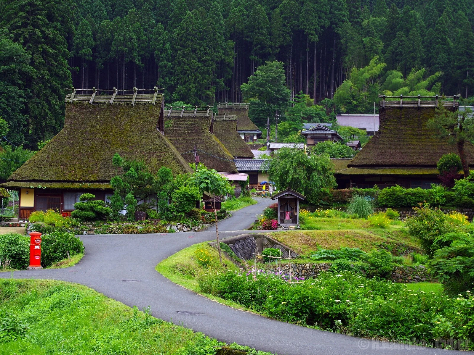 Thatched houses and village lanes in Miyama in June 2013.