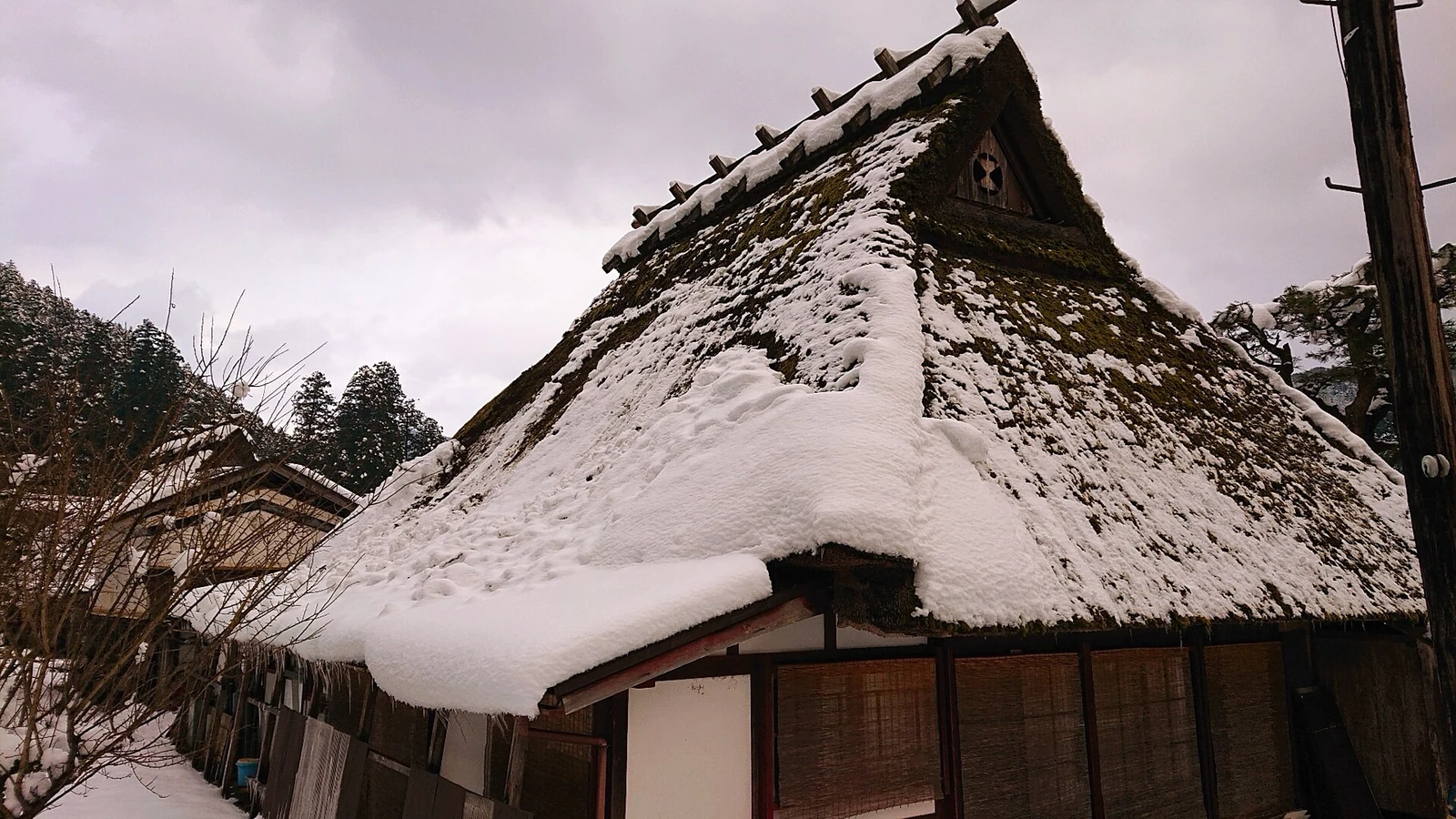 A closer look at a thatched roof under snow in January 2021.