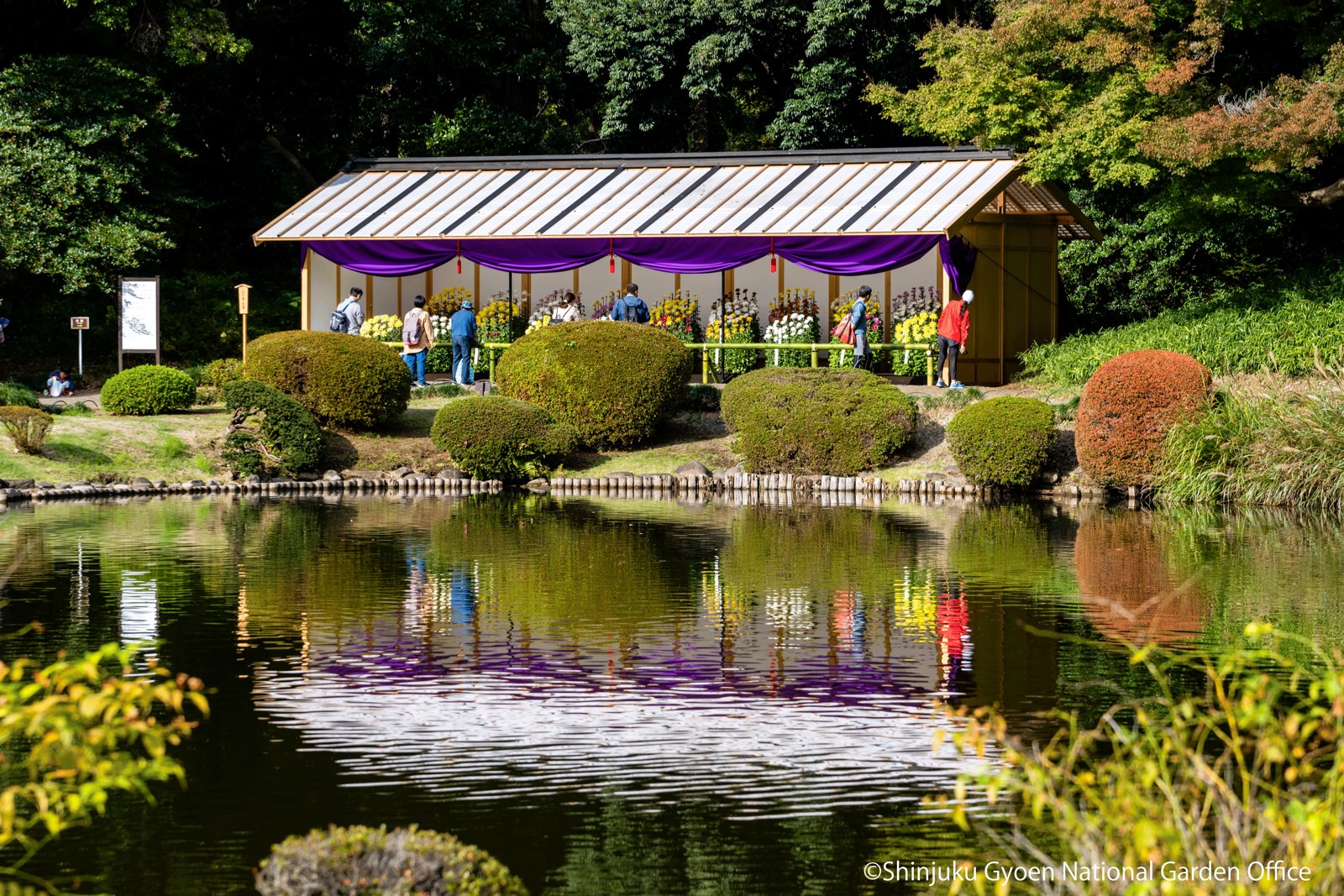 An Edo chrysanthemum display seen across the water.