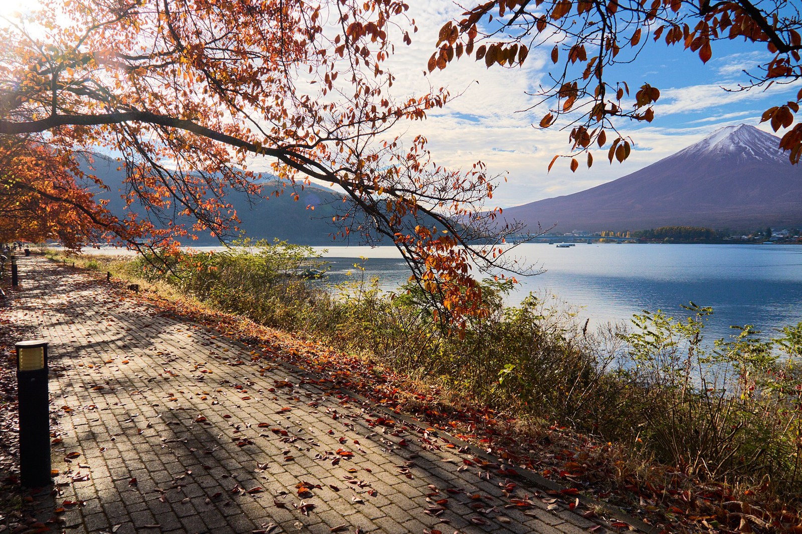 A paved lakeside path along Lake Kawaguchiko with Mount Fuji visible across the water during autumn.