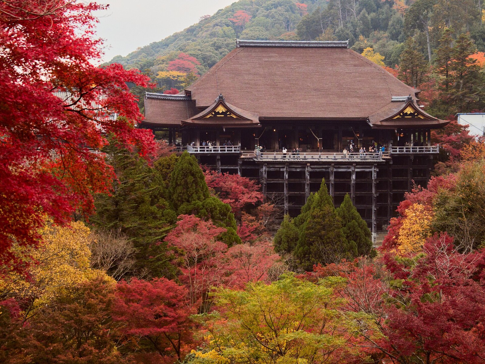 The wooden stage of Kiyomizu-dera framed by autumn leaves.