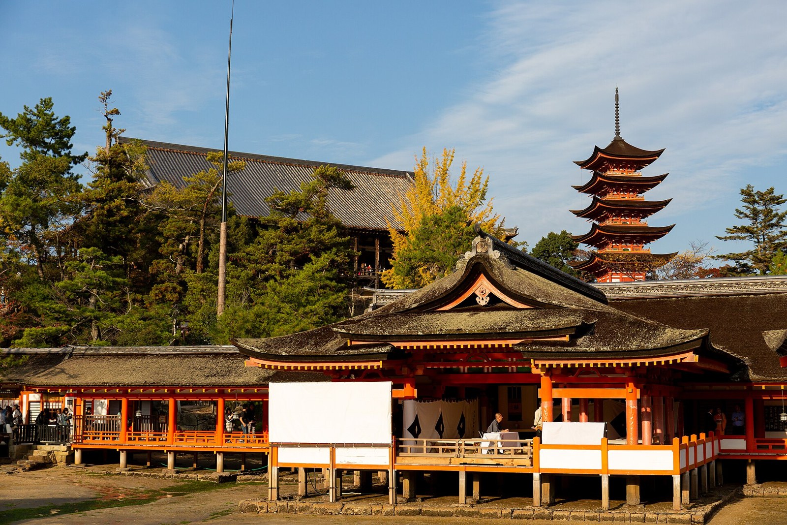 The shrine buildings with the five-storey pagoda beyond.