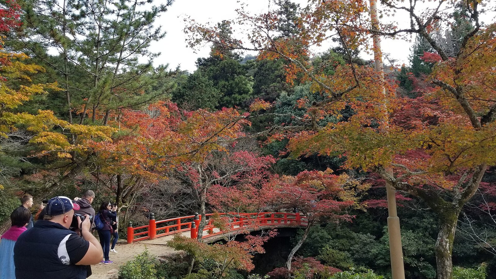 Autumn foliage around the red bridge in Momijidani.