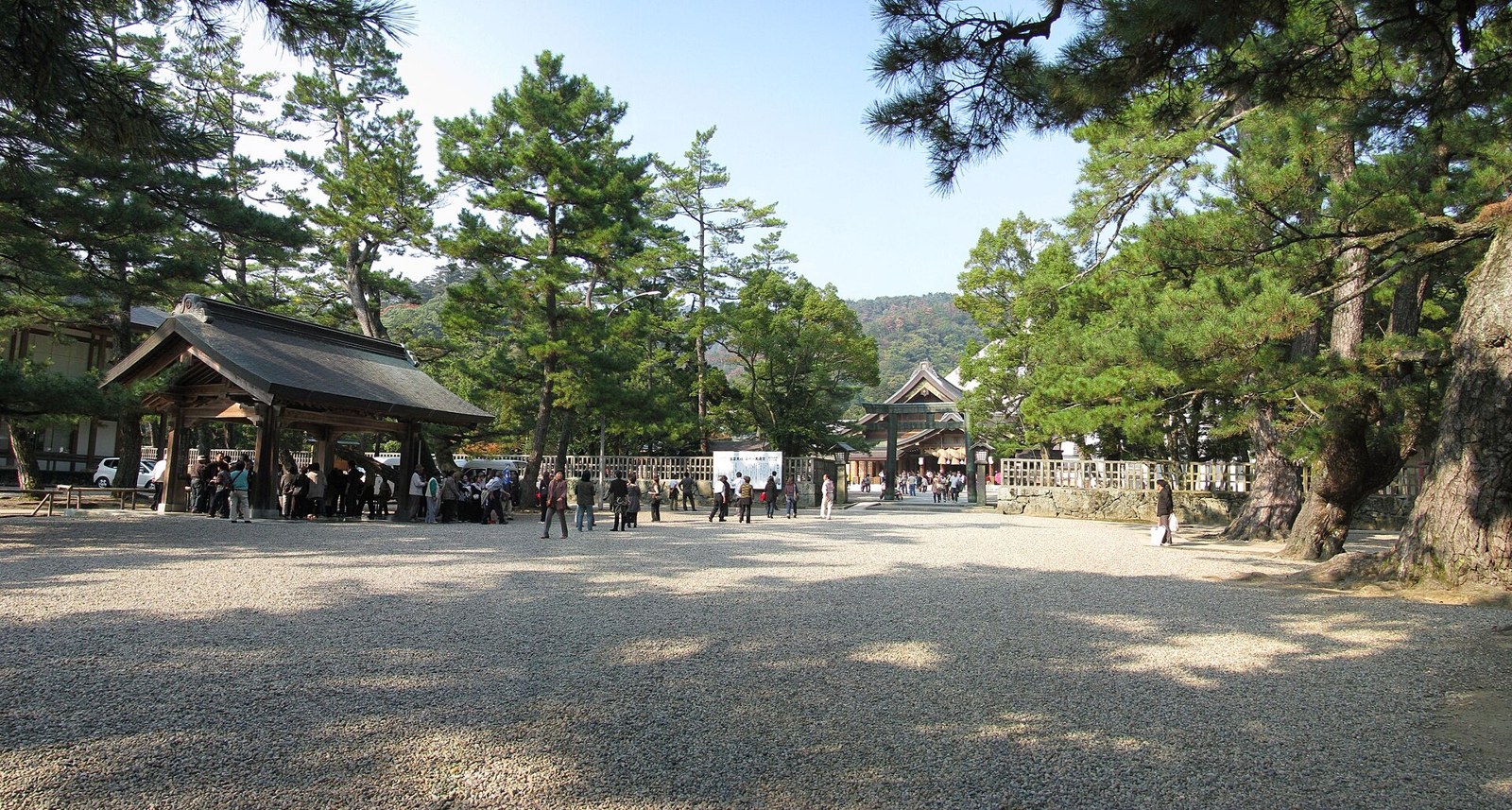 A broad view of the shrine grounds and pines.