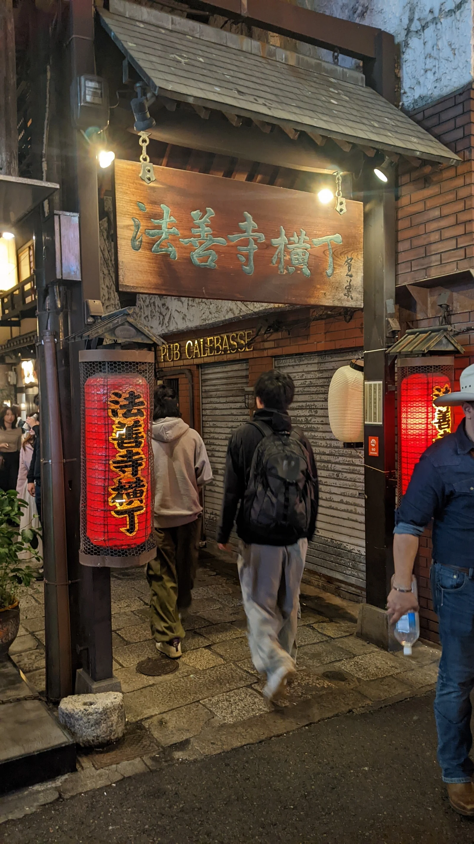 Lanterns and a narrow entrance in Hozenji Yokocho.
