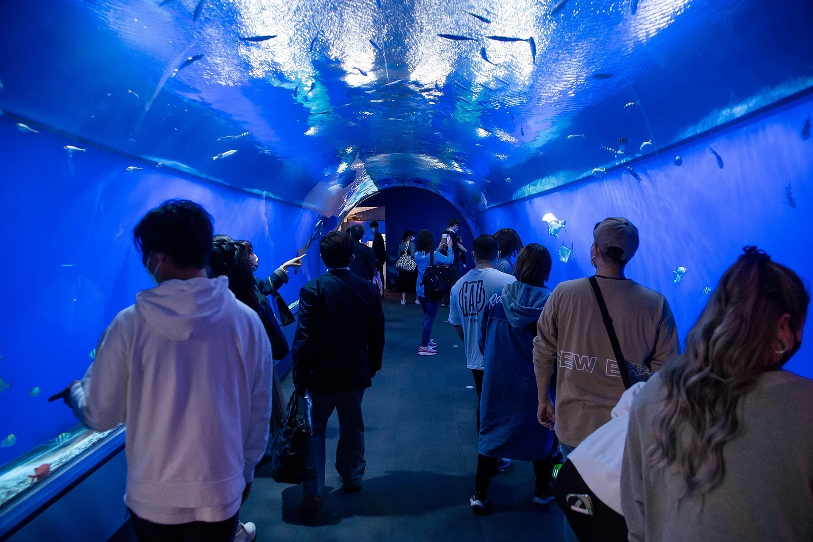 Visitors in the aquarium’s blue-lit tunnel.