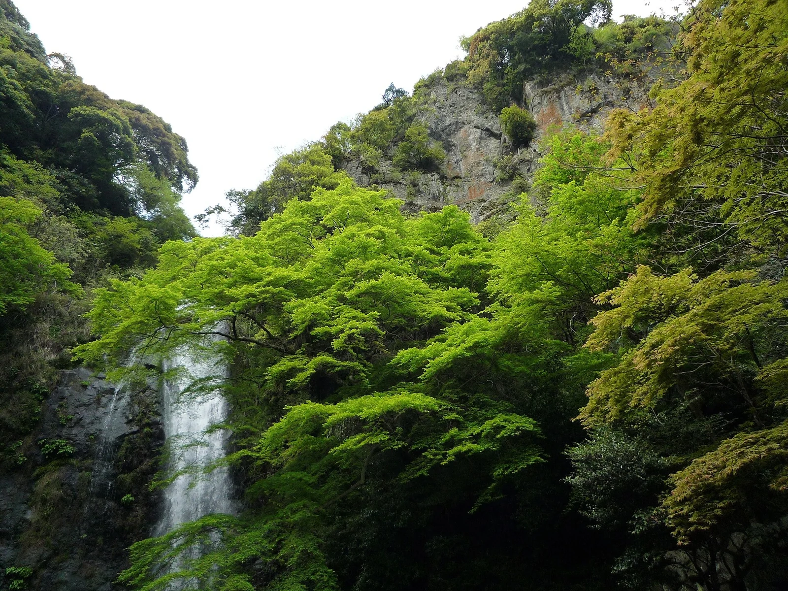 Minoh Falls framed by fresh spring greenery in April 2009.
