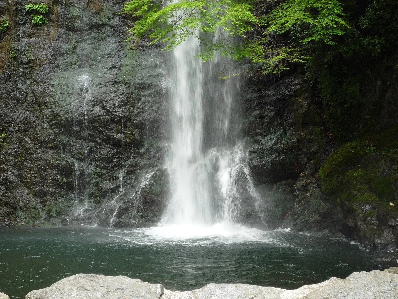 A closer view of the falls and pool in April 2009.