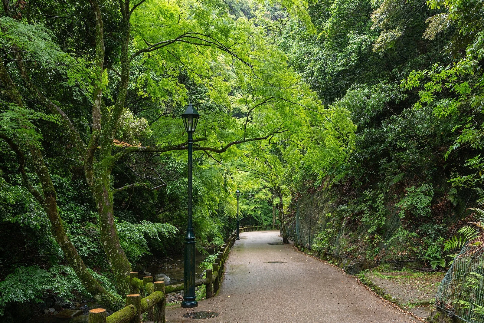 A green stretch of the Minoh walking path in May 2018.