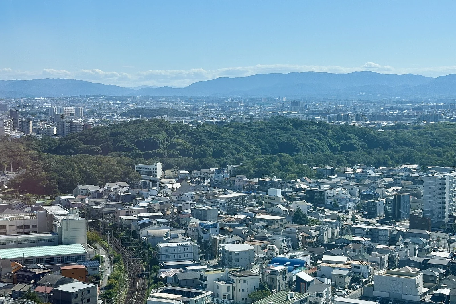 The tree-covered tomb seen from Sakai City Hall in October 2026.