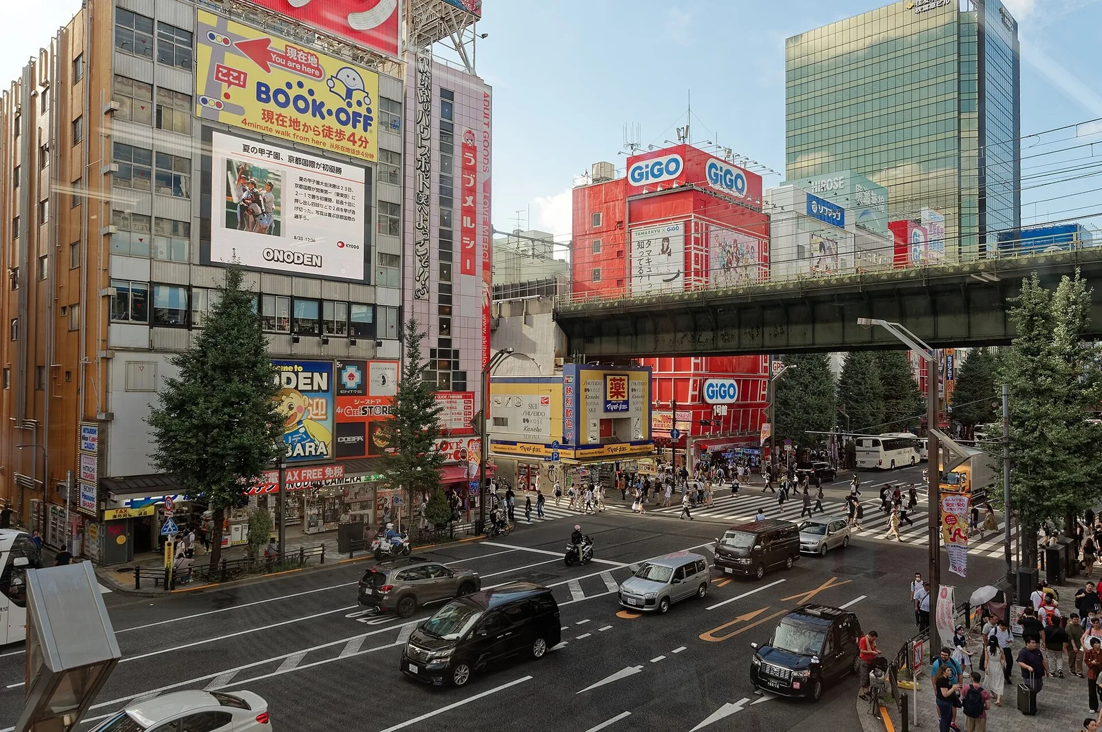Akihabara Electric Town, with its large shop signs and busy streets.