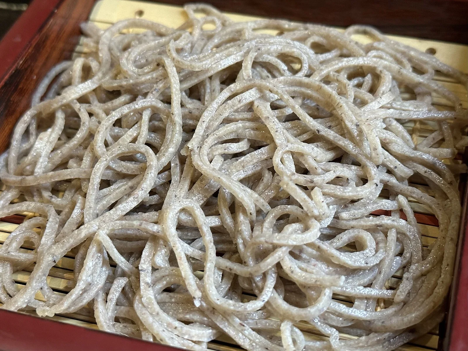 Soba noodles photographed at Tamawarai in Shibuya in October 2023.