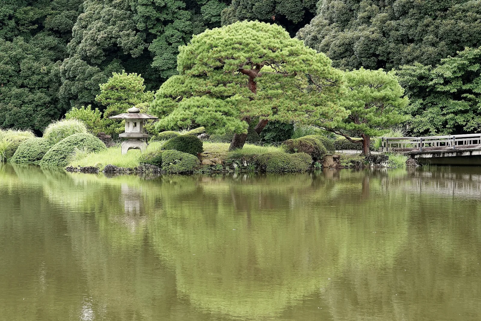 The Upper Pond in Shinjuku Gyoen National Garden.