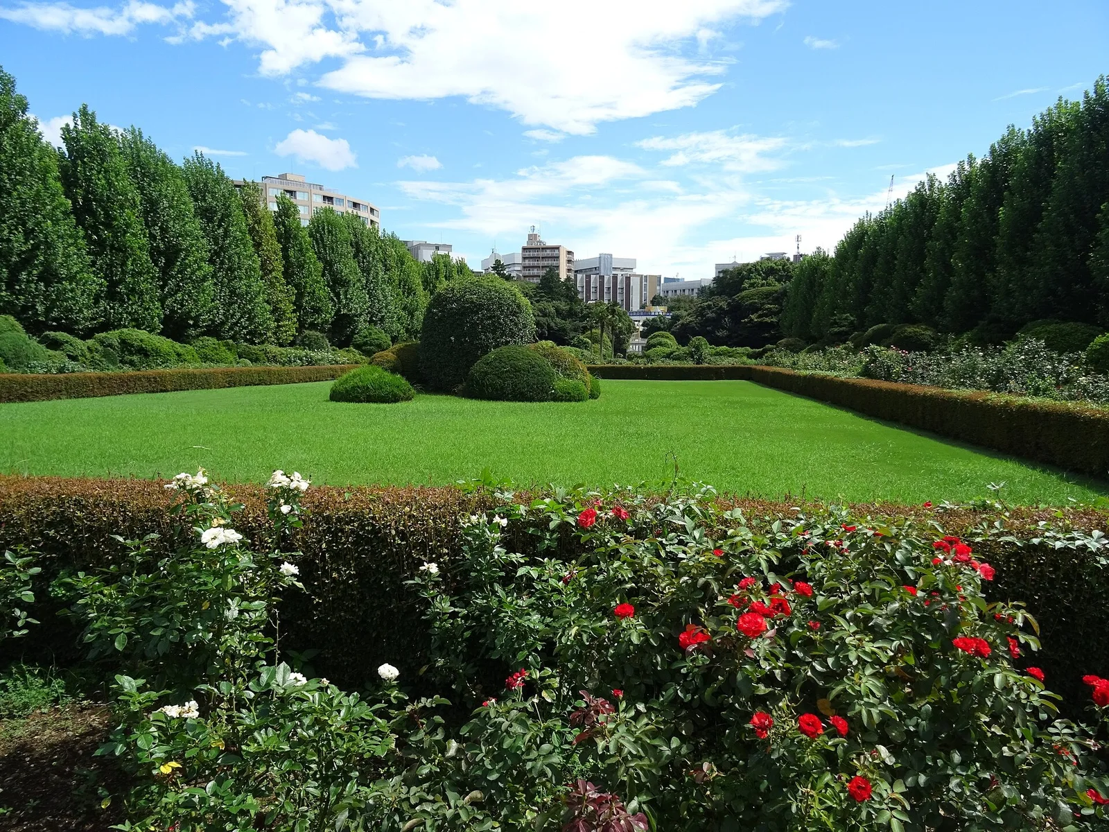 Roses, lawns and orderly avenues in Shinjuku Gyoen's formal garden, photographed in September 2018.