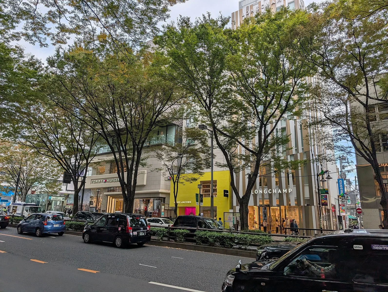 Trees and shops along Omotesando in November 2024.