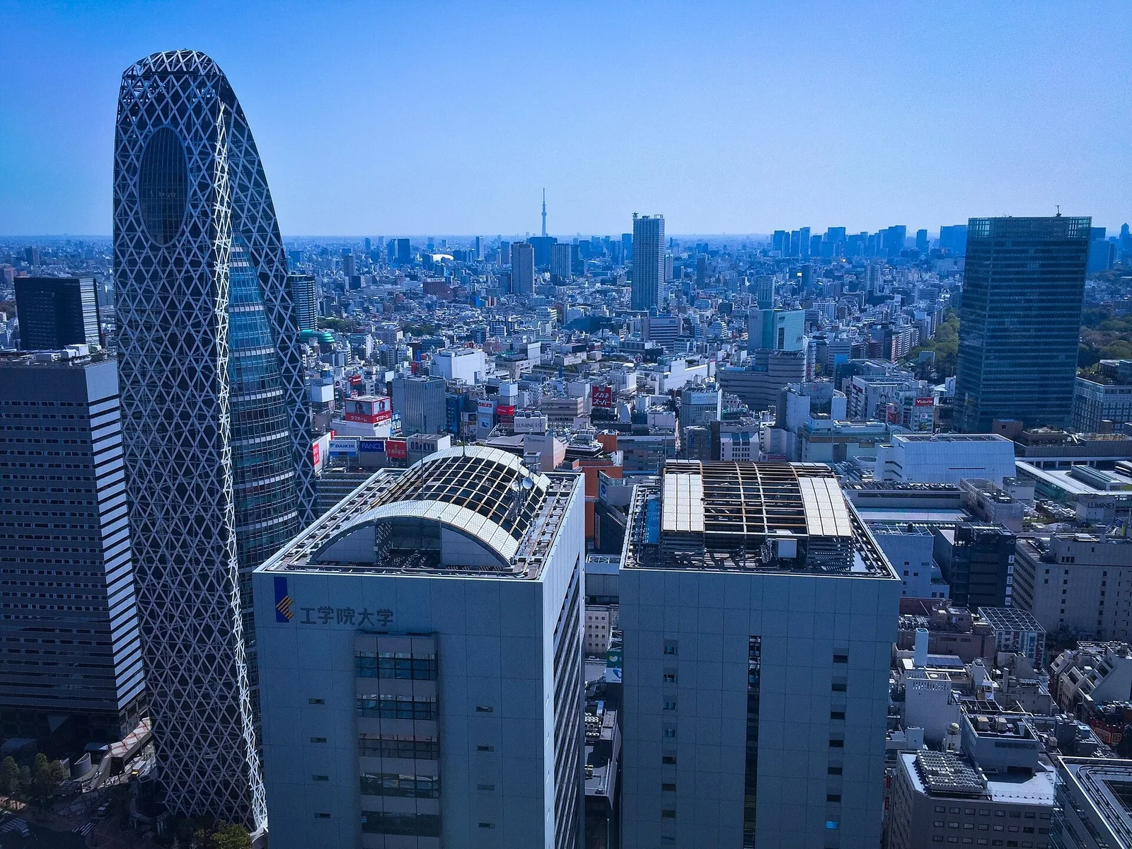 Mode Gakuen Cocoon Tower and the surrounding Shinjuku skyline.
