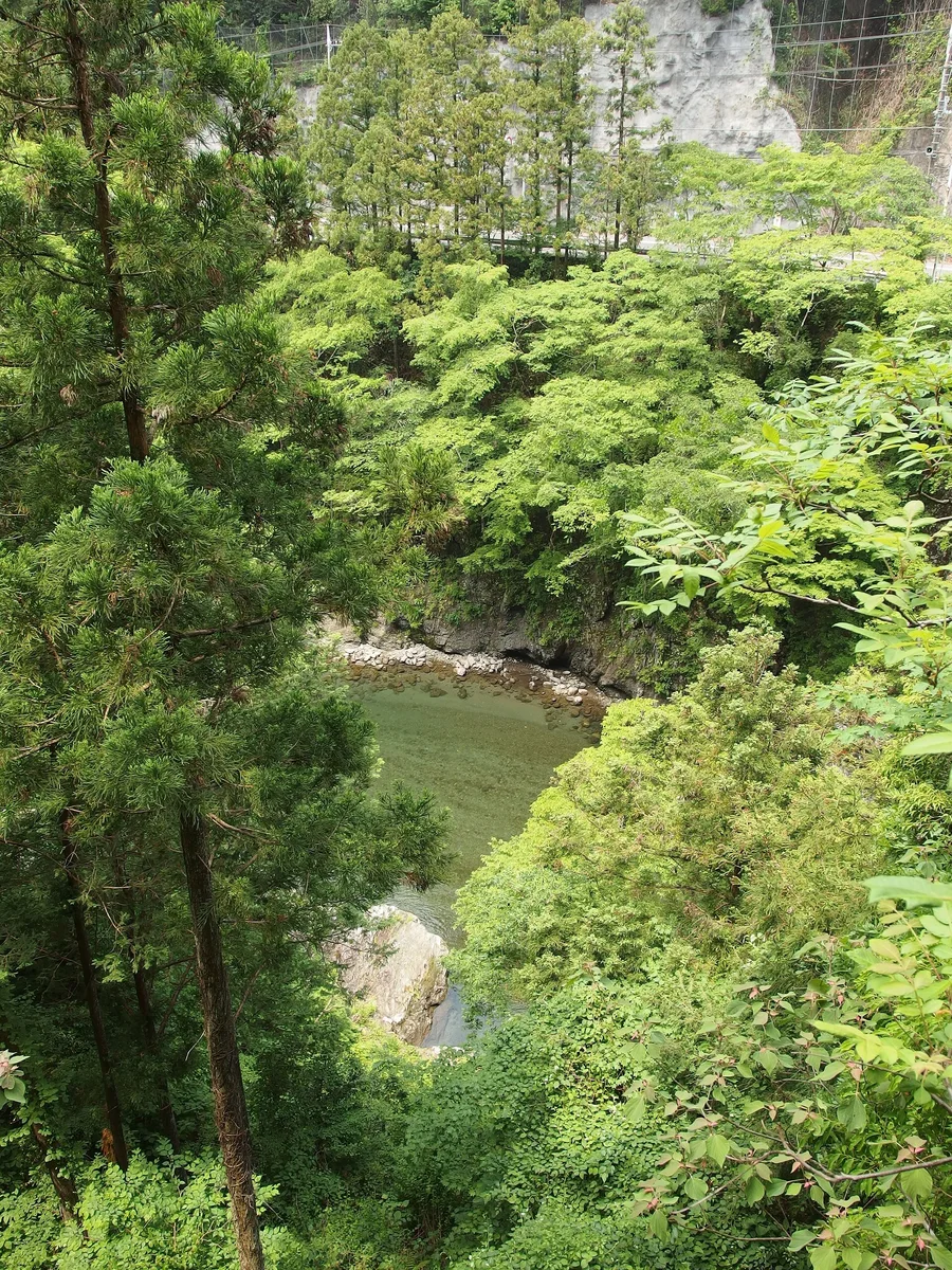 Greenery and river scenery along the Otama Trail in May 2014.