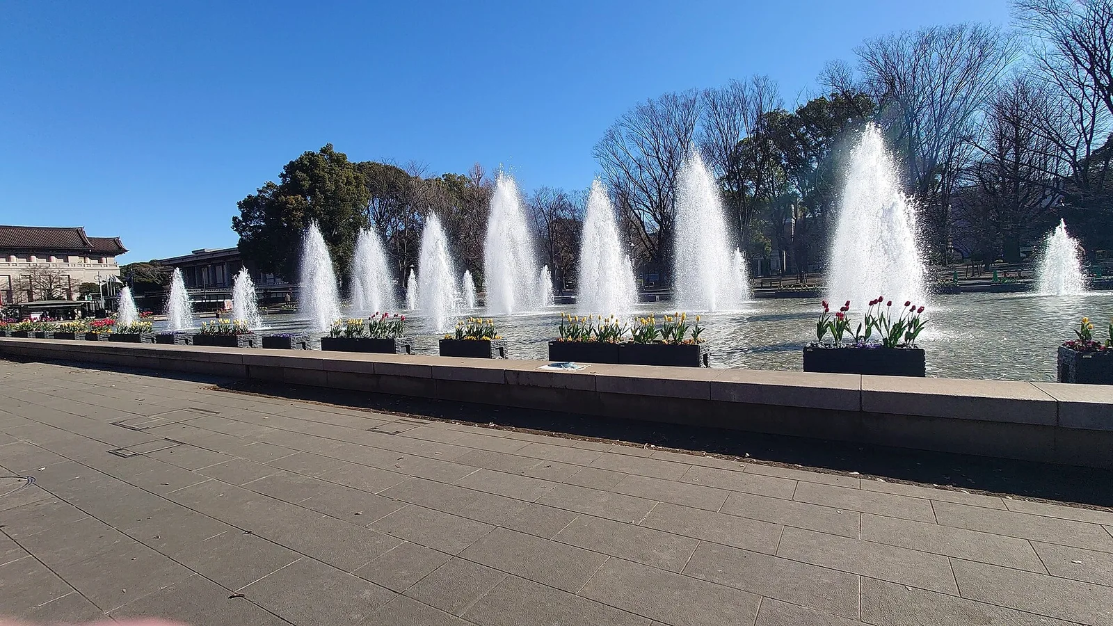 Fountains in Ueno Park on a clear winter morning.
